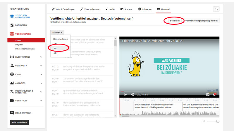 srt-Datei aus Youtube laden
